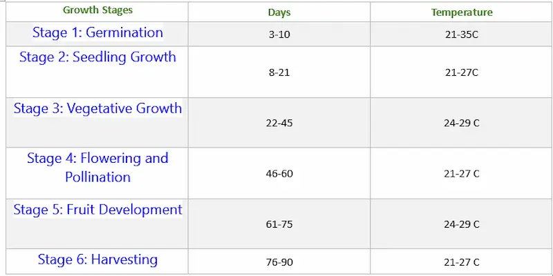 Cucumber growth chart