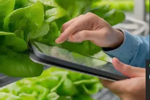 Hi-Tech Farming to enhance Agricultural productivity in Future