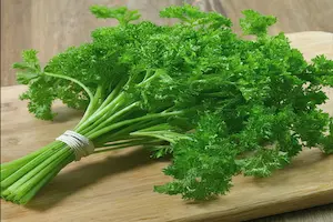 Growing Parsley from Seed: A Step-by-Step Guide - Post Thumbnail