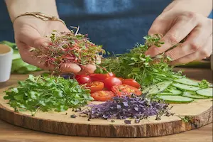 The Ultimate Guide to Creating Delicious and Nutritious Microgreen Salads - Post Thumbnail