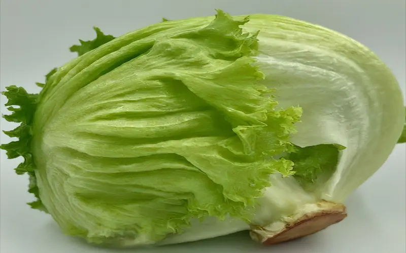 Iceberg lettuce