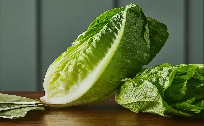 Romaine lettuce