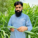 Sikandar