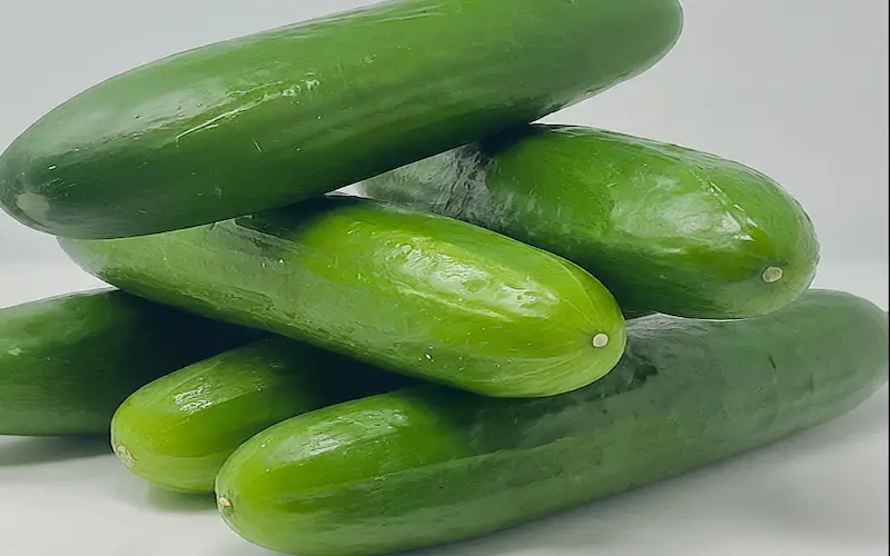 Calories in cucumber