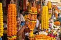 Marigold Garland for Diwali: Décor, Meaning, and Gift Etiquette
