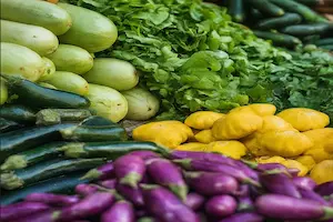 Top 10 Summer Vegetables to Grow in Pakistan